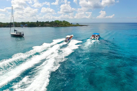 Punta Cana: Avventura in motoscafo con snorkeling