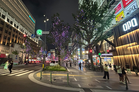 大阪夜间活动：隐秘小巷和当地街道