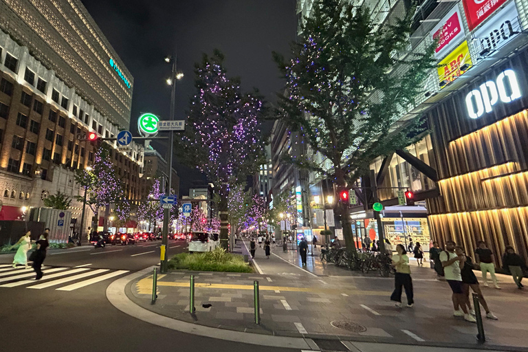 大阪夜间活动：隐秘小巷和当地街道