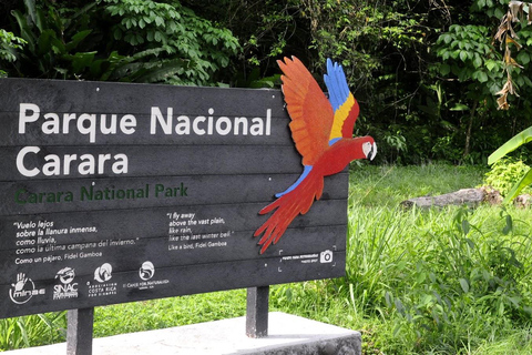 Carara National Park: Beste Tour Carara National Park - Ein Tag