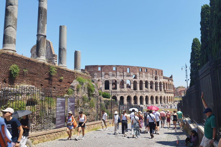 Roma: Coliseo, Foro Romano y Palatino Ticket de entrada sin colas