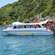 Cham Island: Snorkeling Tour by Speed Boat From Hoi An/Da Nang Cham Island: Snorkeling Tour by Speed Boat From Hoi An/Da Nang