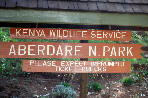 From Nairobi: 6-Day Aberdares, Lake Bogoria, and Masai Mara…