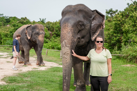 Kulen Elephant Forest Tour with Hotel Pick-up & Drop off