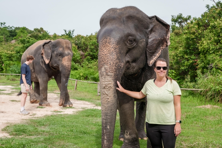 Excursión a la Selva de Elefantes de Kulen con recogida y regreso al hotel