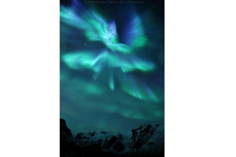 Tromso Persecución en Gran Autobús de la Aurora Boreal con Fotos Gratis