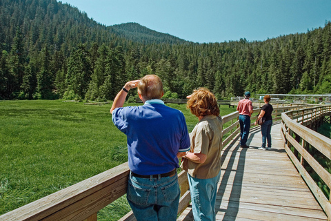 Ketchikan: Alaska Rainforest Sanctuary and Totem Park Walk