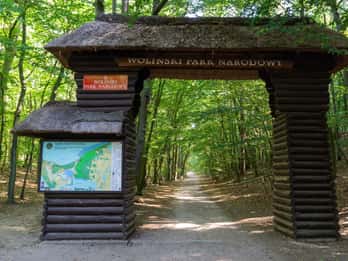 Visita guiada privada al Parque Nacional de Wolin en Szczecin