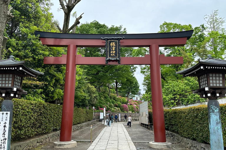 Tradycyjne stare miasto w Tokio - Yanaka, Nezu i Ueno SakuragiTokio : Stare tradycyjne miasto~Yanaka,Nezu&amp;Ueno Sakuragi