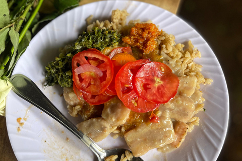 莫希：城镇之旅 - 购物、瀑布、咖啡之旅和午餐莫希：仅参观马特鲁尼瀑布徒步（含午餐）