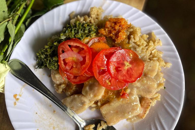 莫希：城镇之旅 - 购物、瀑布、咖啡之旅和午餐莫希：仅参观马特鲁尼瀑布徒步（含午餐）