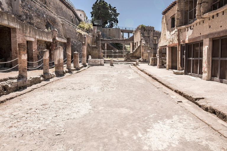 Herculaneum: Skip-the-Line Entry Ticket with Audio Guide