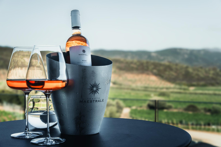 Cagliari Wine Tasting at Tenute Maestrale