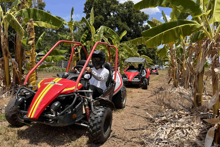 Bamboo Dune Buggy Tour