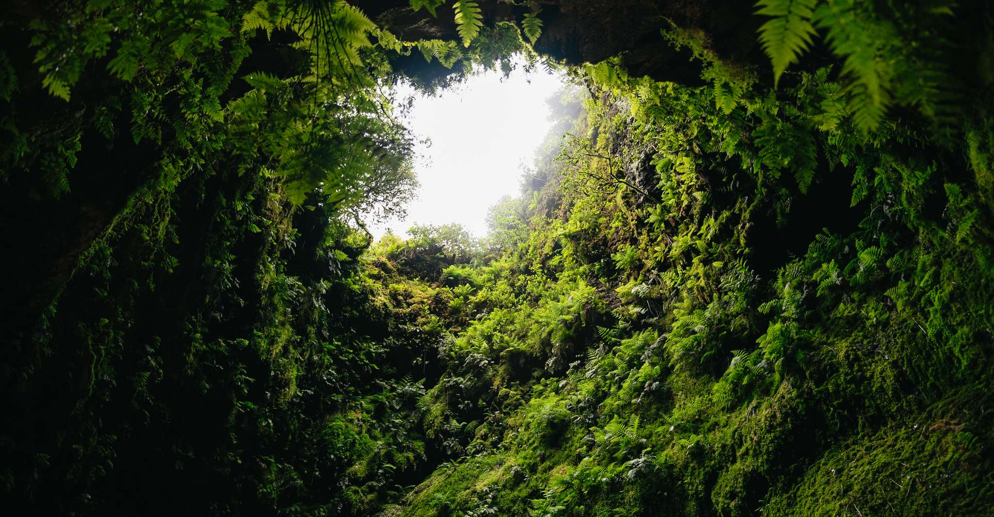 Terceira, Algar do Carvão Lava Caves Tour - Housity