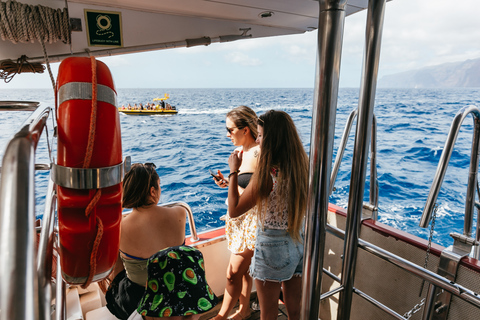 Depuis Adeje : croisière baleines et dauphins avec déjeunerVisite guidée sans prise en charge à l’hôtel