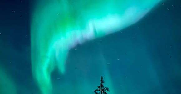 Aurora Minibus Tour Kiruna – Torneträsk & Arctic Adventure