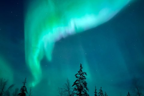 Aurora Borealis Minibus Tour – Torneträsk & Arctic Adventure