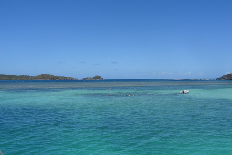A day at sea to discover the lagoons of the Îlets du François A day trip to the lagoons of François