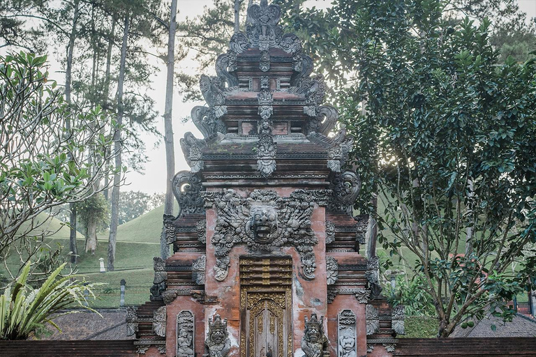 Ubud: wodospad, świątynia na wodzie, taras widokowy, targ w Ubud