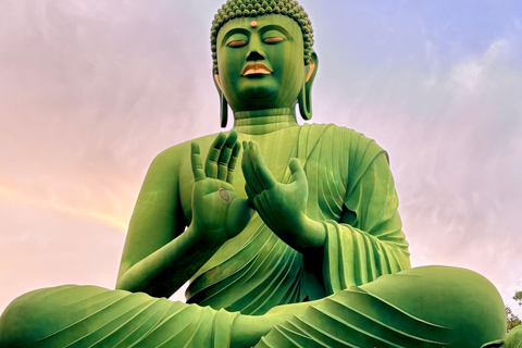 Nagoya: Great Buddha & Treasures of Chikusa Walking Tour