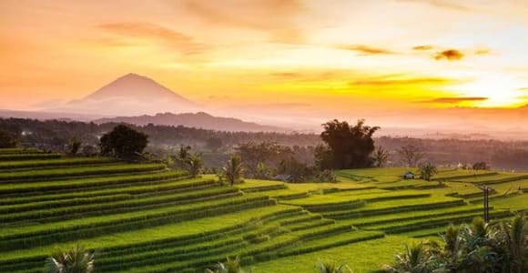Bali: Tour to Jatiluwih UNESCO Site, Bratan Lake & Tanah Lot