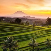 Bali: Jatiluwih UNESCO, Bratan Lake, Iconic Gate & Tanah Lot