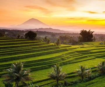 Bali: Jatiluwih UNESCO, Bratan Lake, Iconic Gate & Tanah Lot