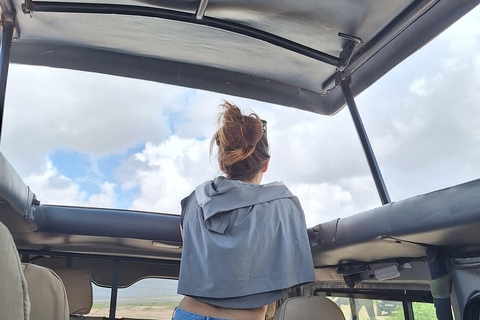 Nairobi: Amboseli National Park Tagestour mit PirschfahrtenSolo Nairobi: Amboseli National Park Tagestour