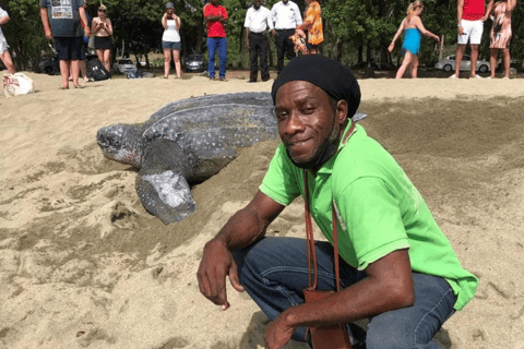 Tobago: Leatherback Turtle Nesting Tour with Pickup