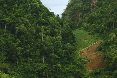 Ban Jabo Hike, Walk the Mountain’s Edge and Touch the Sky