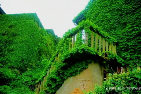 Shanghai: Shengsi 3-Day Private Tour & Floating Sea Farm