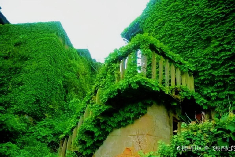 Shanghai: Shengsi 3-Day Private Tour & Floating Sea Farm