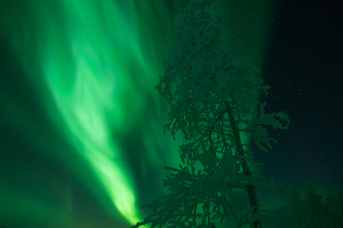 Rovaniemi’s Smallest Guarantee Aurora Tour (Max 6 person)