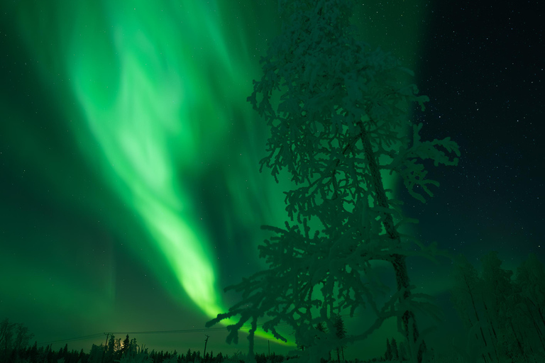 Rovaniemi’s Smallest Guarantee Aurora Tour (Max 6 person)