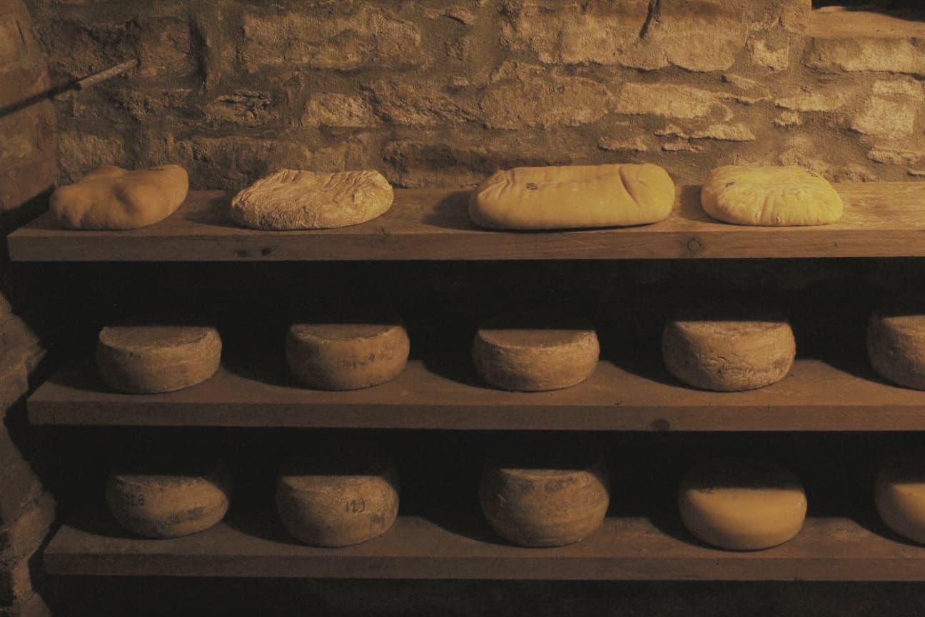 Alta Langa: Käse- und Weinprobe
