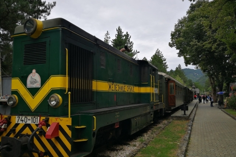 Vanuit Belgrado: trein Mokra Gora Sargan 8, Mecavnik en Zlatibor