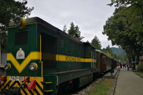 Vanuit Belgrado: trein Mokra Gora Sargan 8, Mecavnik en Zlatibor