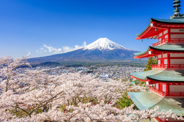 Tokio: wycieczka 1-dniowa – góra Fudżi, Kawagoe i świątynia HikawaTokyo: Mt. Fuji, Kawagoe, &amp; Hikawa Shrine Day Trip