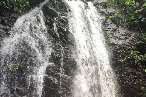 Cali: Pacific Jungle Trek to Hidden Pools & La Sirena Falls