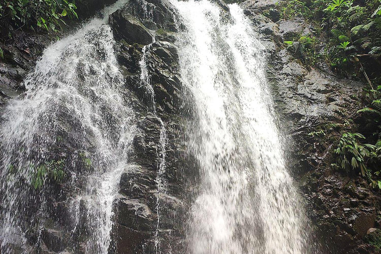 Cali: Pacific Jungle Trek to Hidden Pools & La Sirena Falls