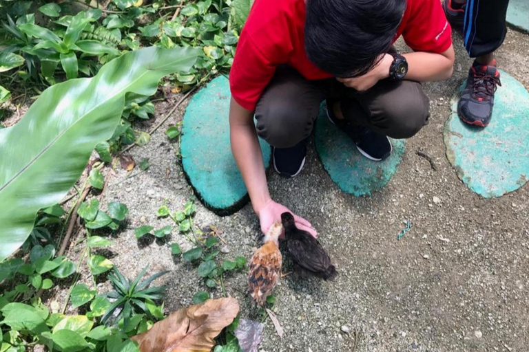 Penang Village Fun: Congkak Game, Local Treat & Petting Zoo