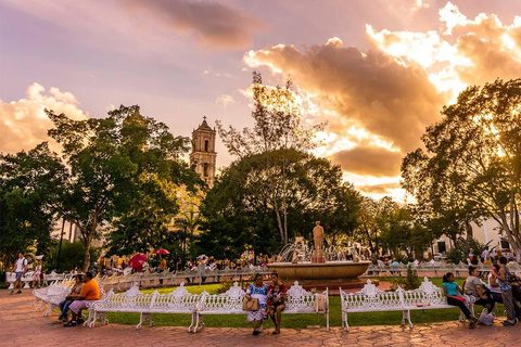 Tulum: Suytun och Ikkil Cenote, Chichen Itza &amp; ValladolidTulum: Suytun och Ikkil Cenote, Chichen Itza och Valladolid