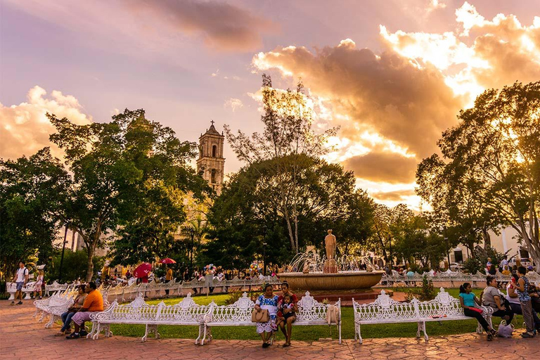 Tulum: Suytun och Ikkil Cenote, Chichen Itza &amp; ValladolidTulum: Suytun och Ikkil Cenote, Chichen Itza och Valladolid