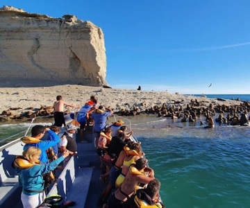 Puerto Madryn: Peninsula Valdes Tour with Whale Watching