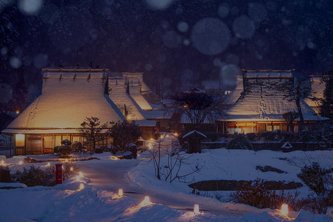 Osaka : Excursion d&#039;une journée à Amanohashidate, Ine Hunaya, Miyama-Village