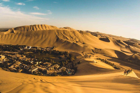 Da Lima: Paracas, Isole Ballestas e Huacachina giorno ...