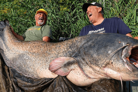 Catfish fishing in the Camargue and a boat tour of the Pont d'Avignon