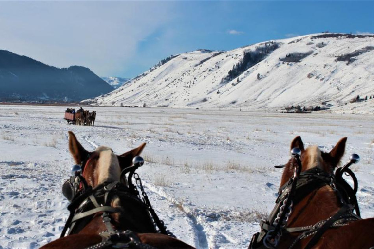 Jackson Hole: National Elk Refuge Sleigh Ride