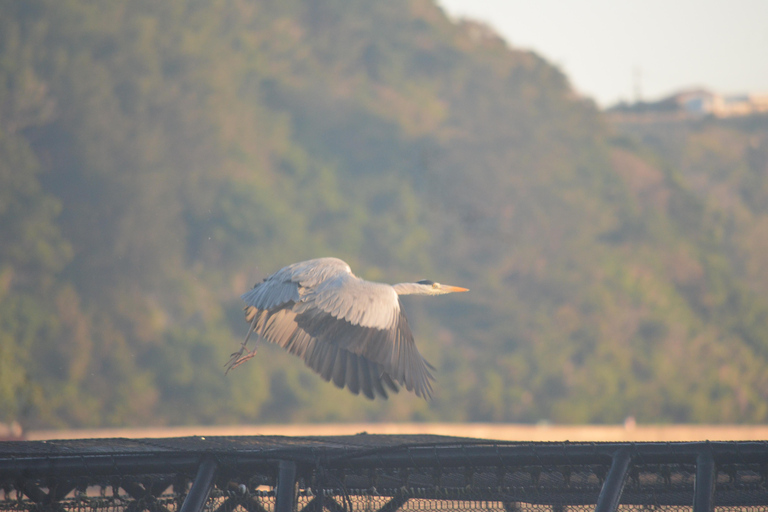 Okinawa: Private Full Circle Island Kayak Tour in English